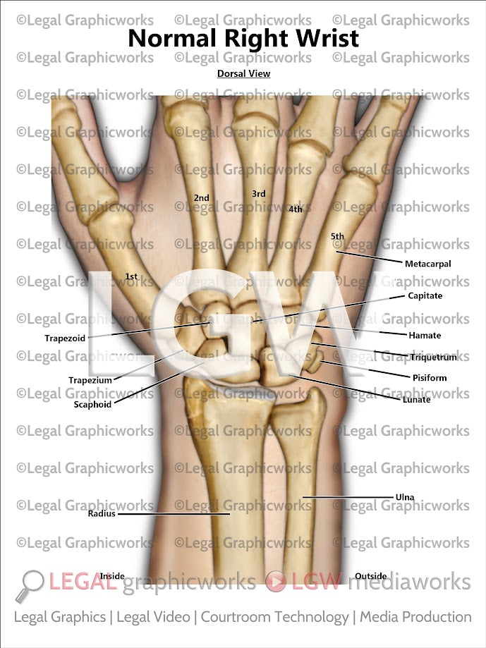 Normal Right Wrist