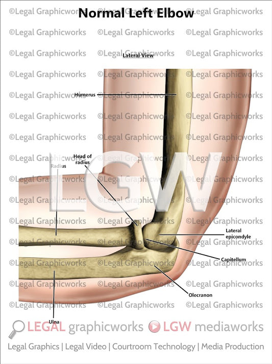 Normal Left Elbow