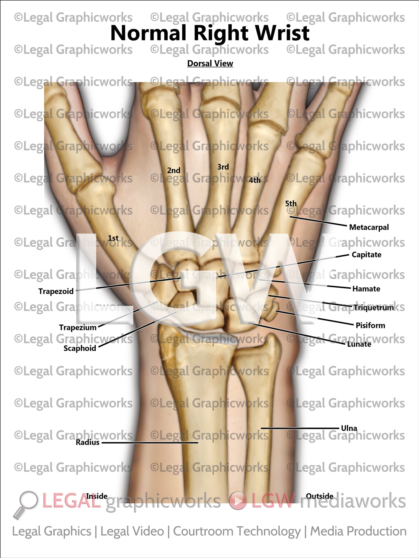 Normal Right Wrist