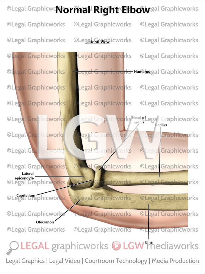 Normal Right Elbow
