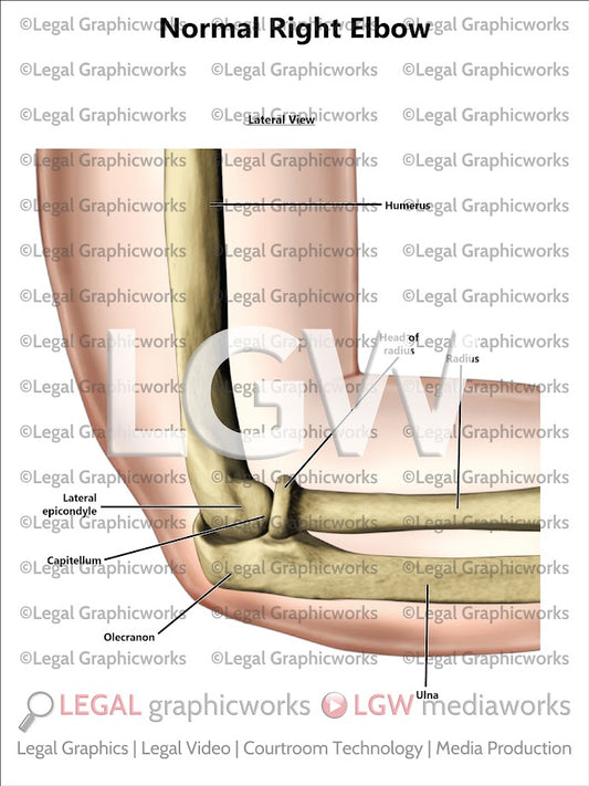 Normal Right Elbow